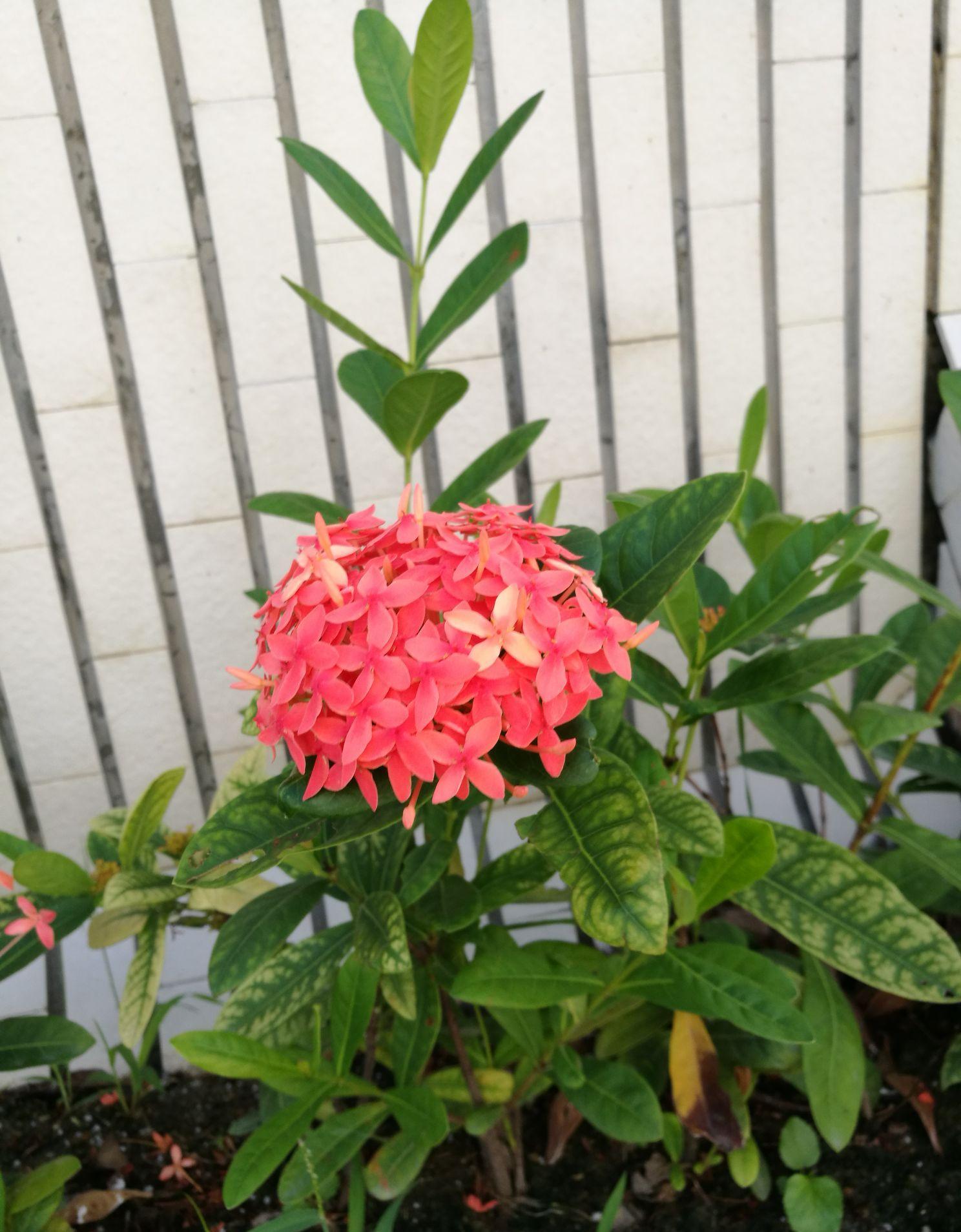 中国动力,时来运转