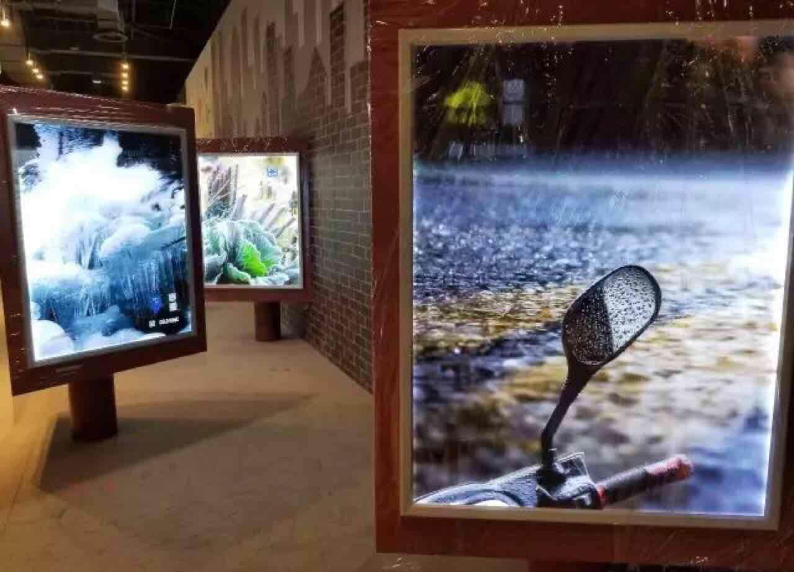 康得新裸眼3d灯箱即将亮相四川科技馆 2017-09-20 k3dx康得新 11