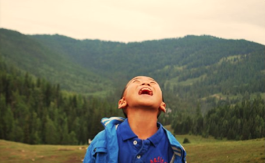我自仰头向天啸我辈岂是蓬蒿人燕雀安知鸿鹄志一只鸿雁向天飞