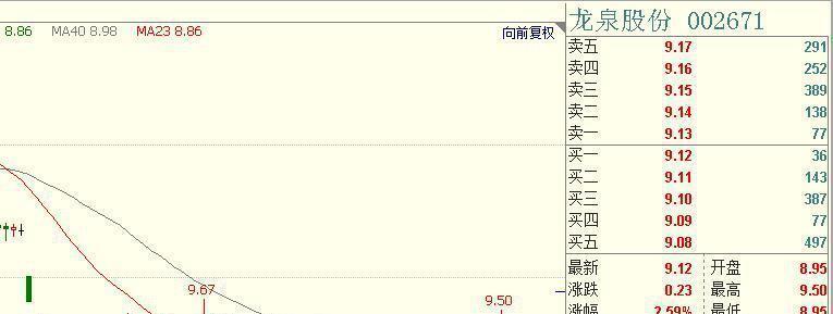 人均持股数量_数量金额式明细账(2)