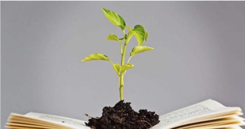 成长博客，成长教育v 的微博