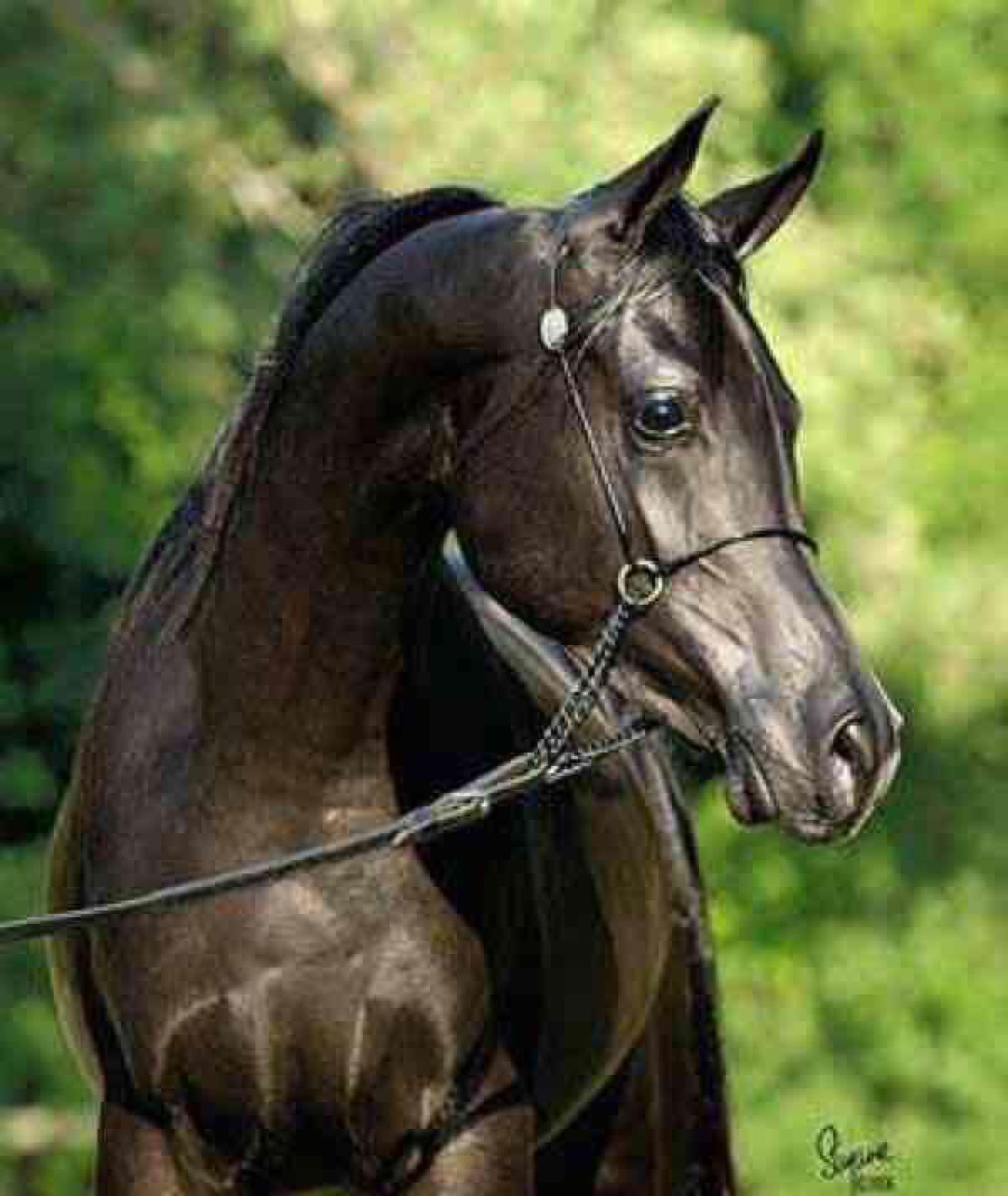 耕耘18年医药的尖峰集团终于要发力进入加速发展中 收