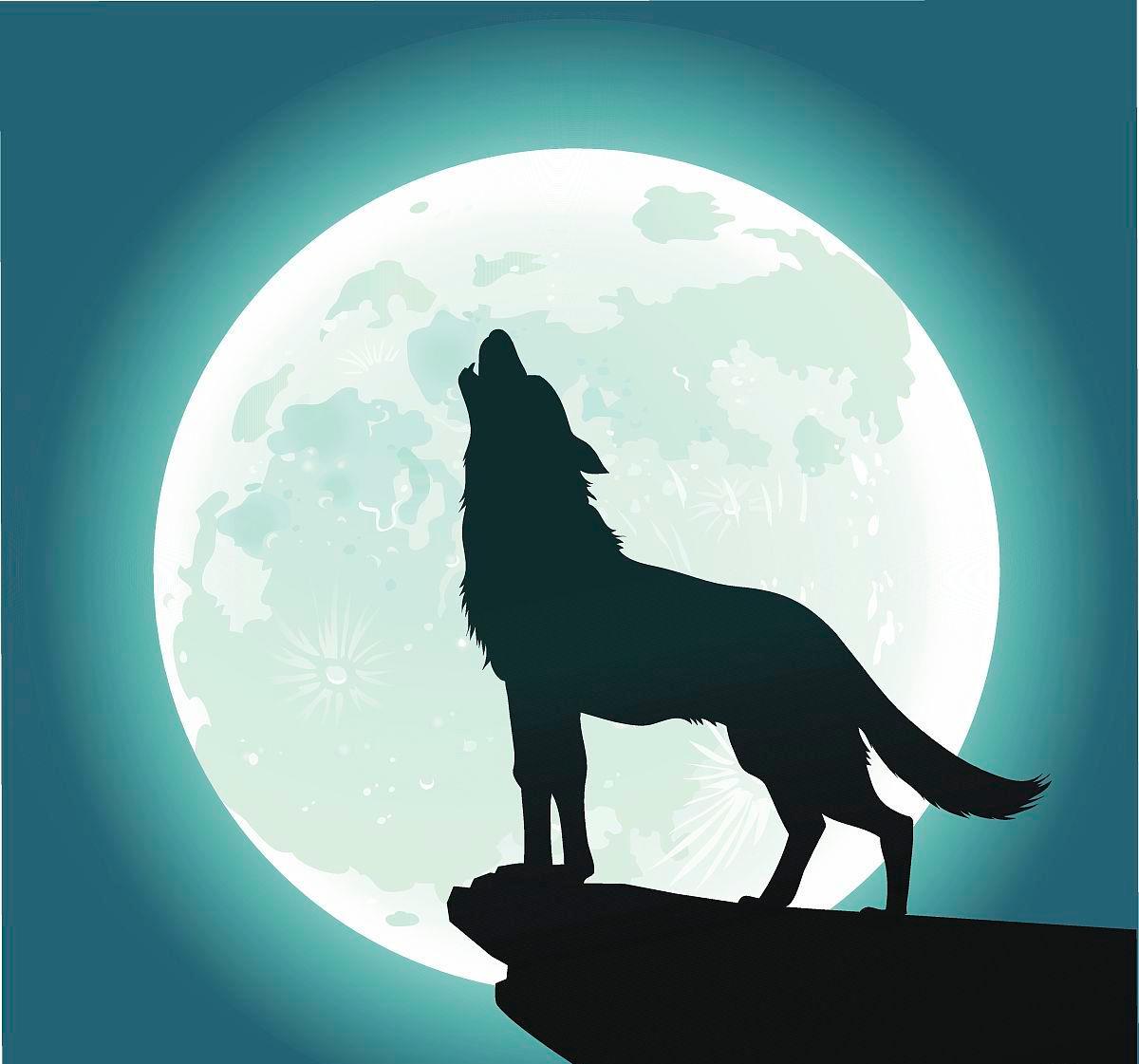 是狼来了还是粮来了