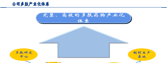 完整和高效的多肽藥物產業化體系,已成為國內多肽研發生產的龍頭企業