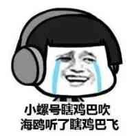 小螺号滴滴滴吹 海鸥听了展翅的灰呀,忽忽悠悠你就瘸了