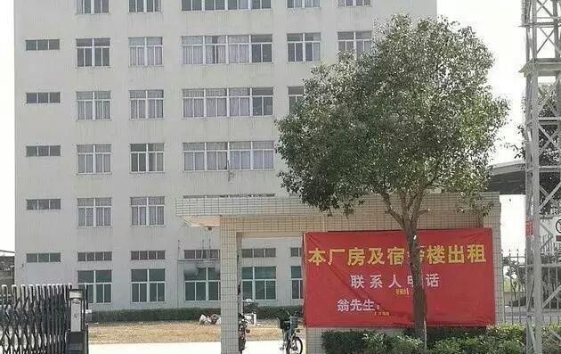 群星玩具,风烛残年!工厂早己停产,厂房正在出售,乐视的走势