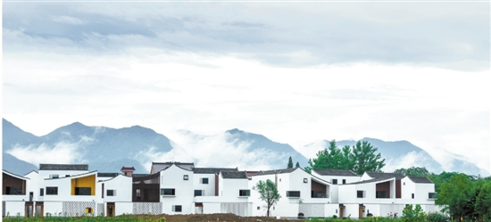 红股轩:又到农业利好期 乡村振兴潜力大