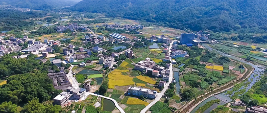 红股轩:又到农业利好期 乡村振兴潜力大