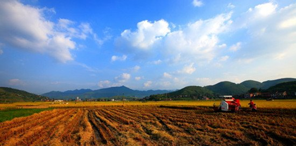 红股轩:又到农业利好期 乡村振兴潜力大