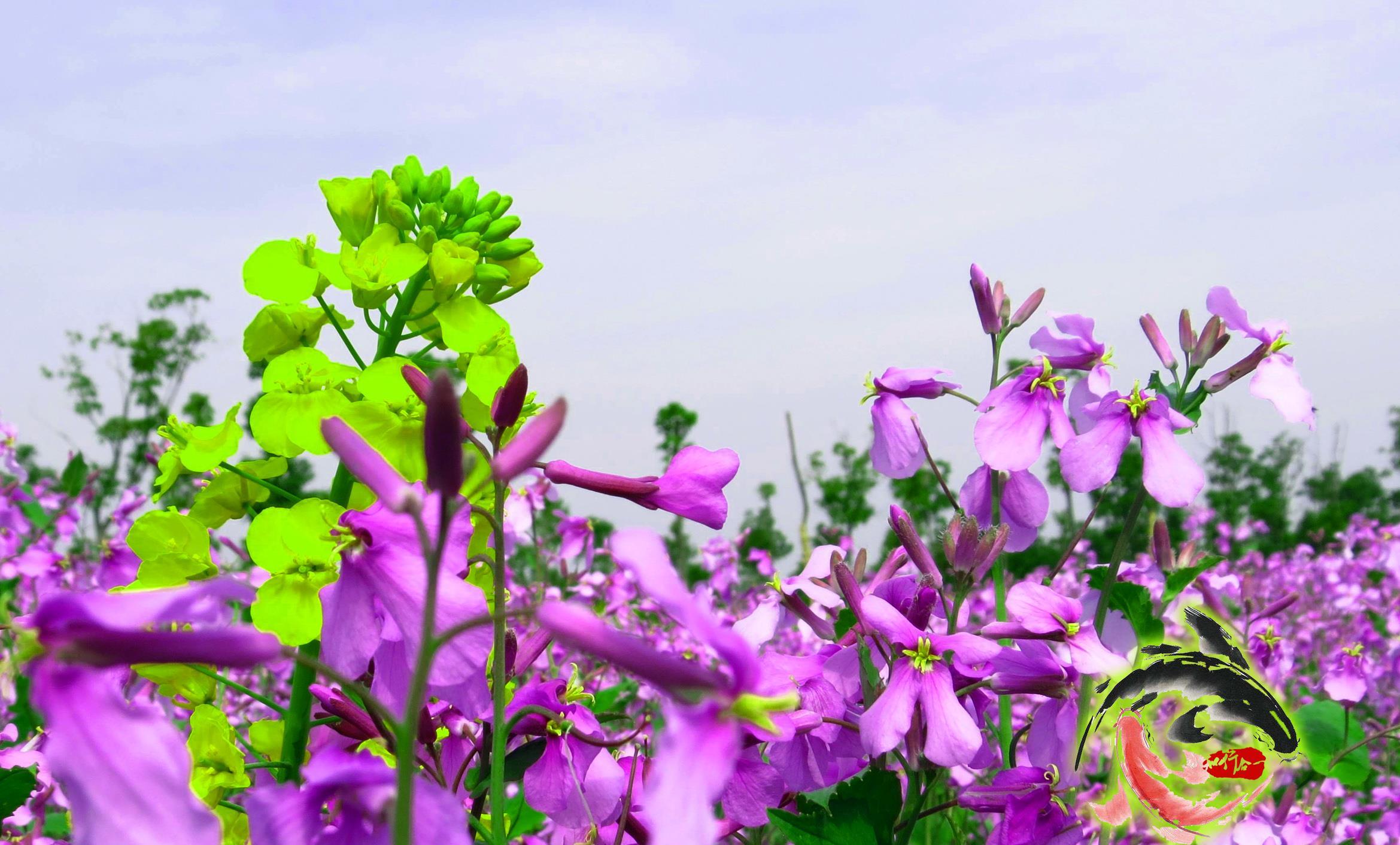 [原创]2018股市投资笔记--2月8日交易日记