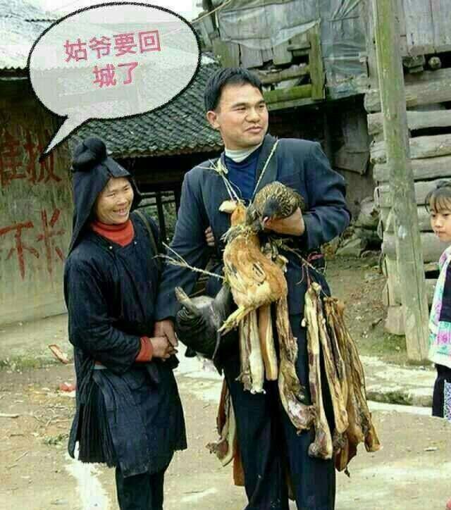 阉驴春节前刚领几百块城市无业低保救济金,这个时候正在郊区?