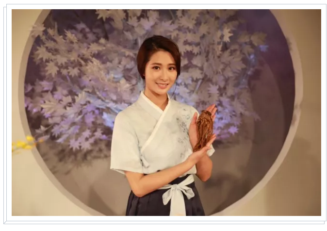 中华养道是凤凰卫视为东阿阿胶量身定制的一档养生文化类节目