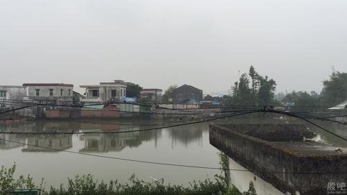 新股龙头002926.601838