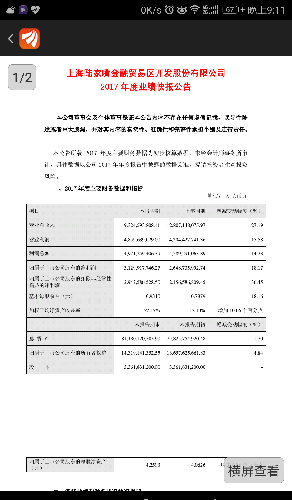 收入证明_公产收入(3)
