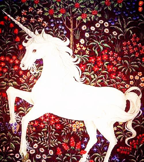 独角兽 ,来了!_博客(dcblog)股吧_东方财富网股吧
