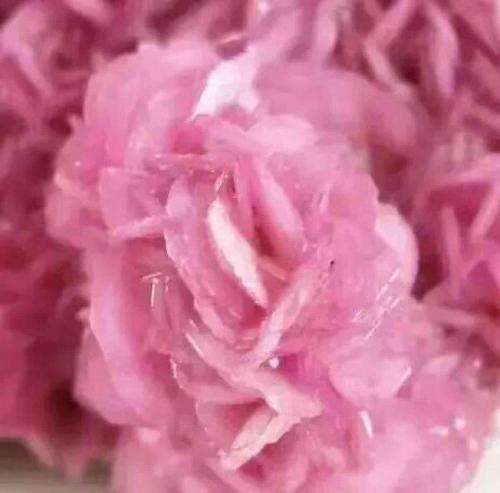 3月6日,LME市场稀有金属钴现货价格82750.0