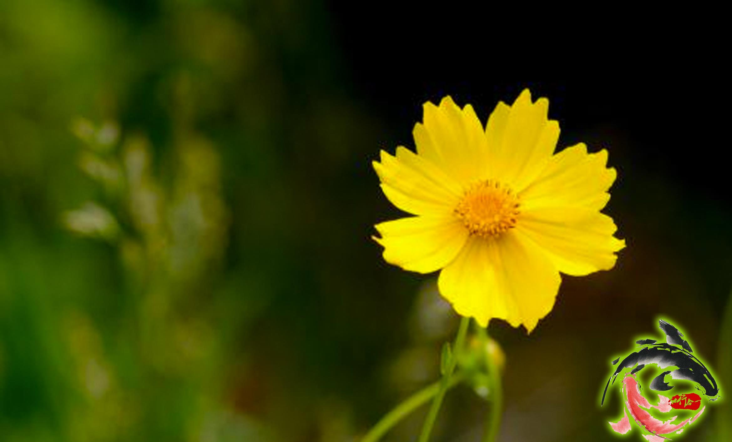 [原创]2018股市投资笔记--3月9日交易日记