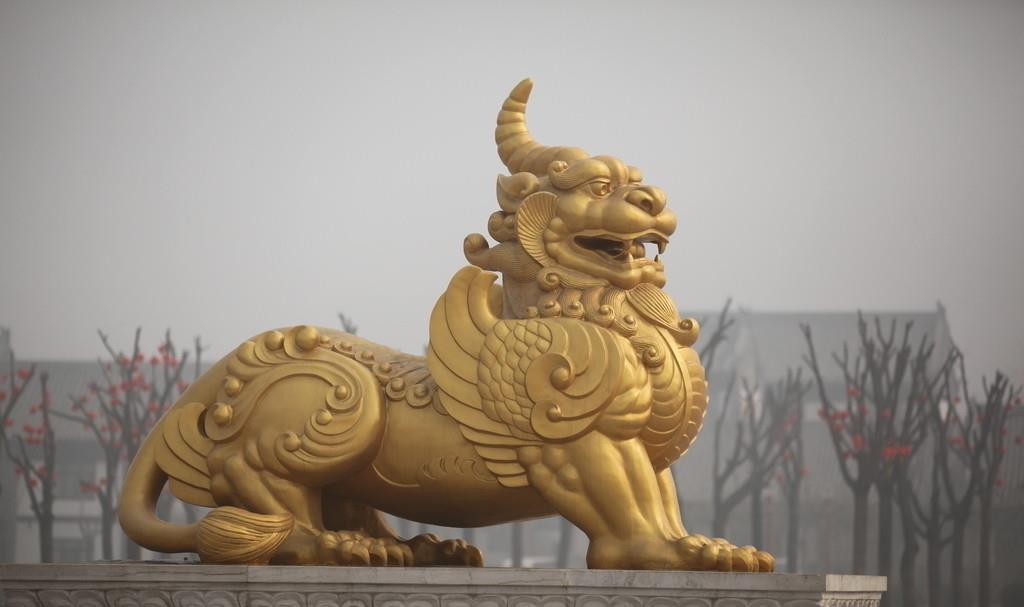 都进来!见识一下独角兽