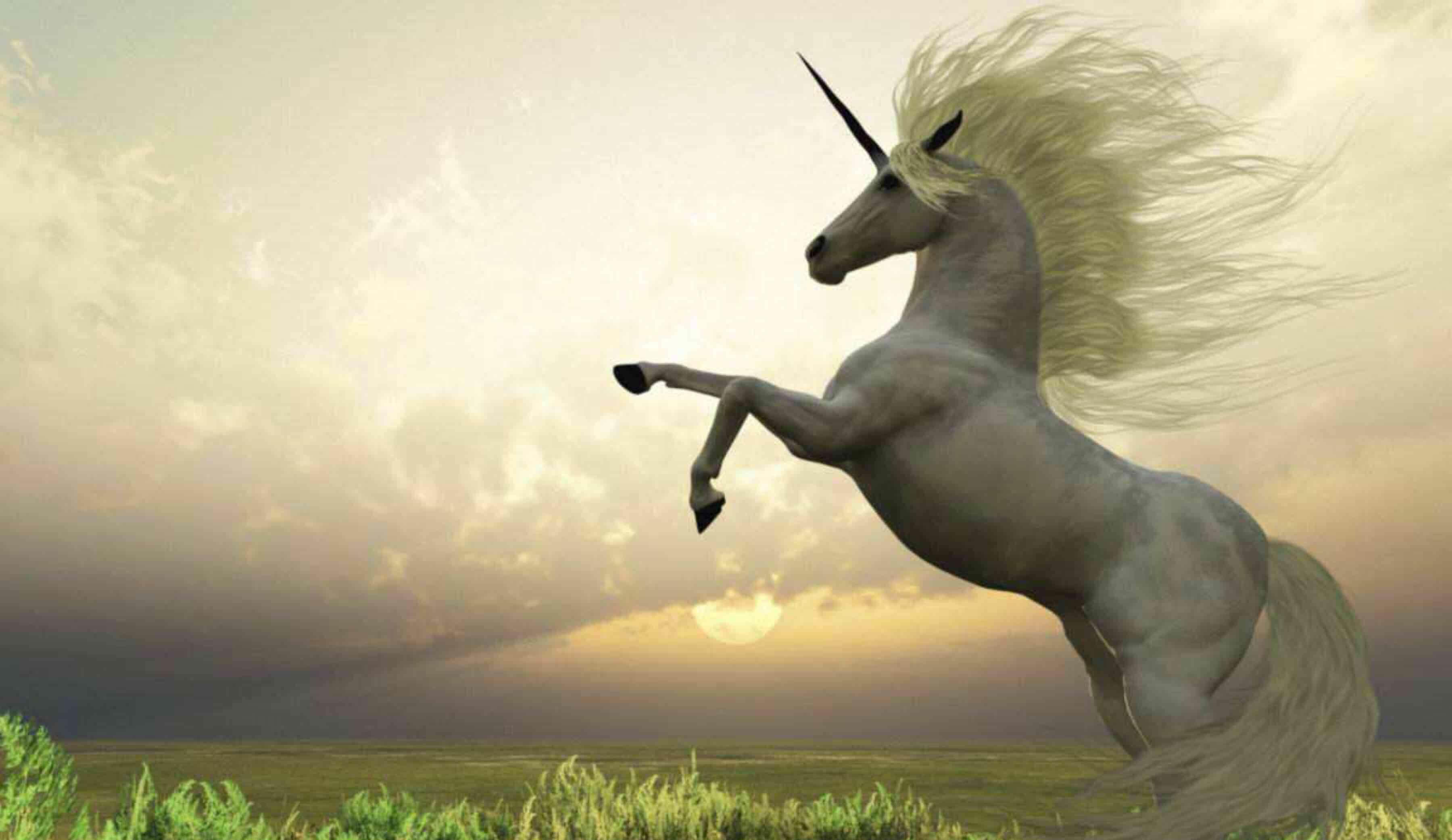 风口上的猪能飞,何况这只业绩高速成长风口上的独角兽!