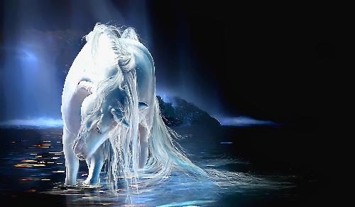 二重是不是独角兽?