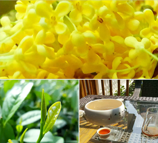 这张原创手机摄影上隐隐约约写有华东科技几个字_冠捷科技(000727)