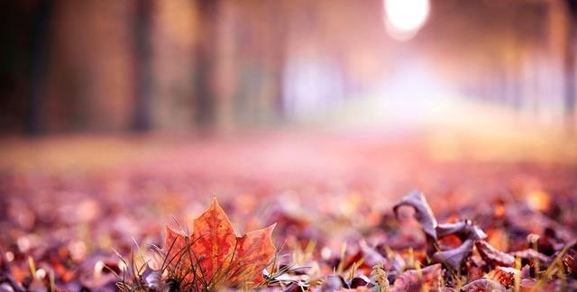 开盘没多久马上拉涨停,大盘绿色一天你还是封