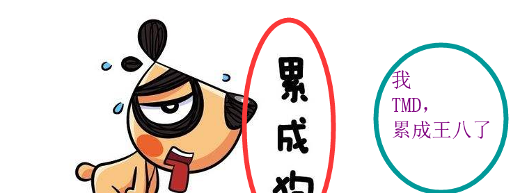 老家人常说,闲的蛋疼.而我却忙的头疼,累的浑身疼.