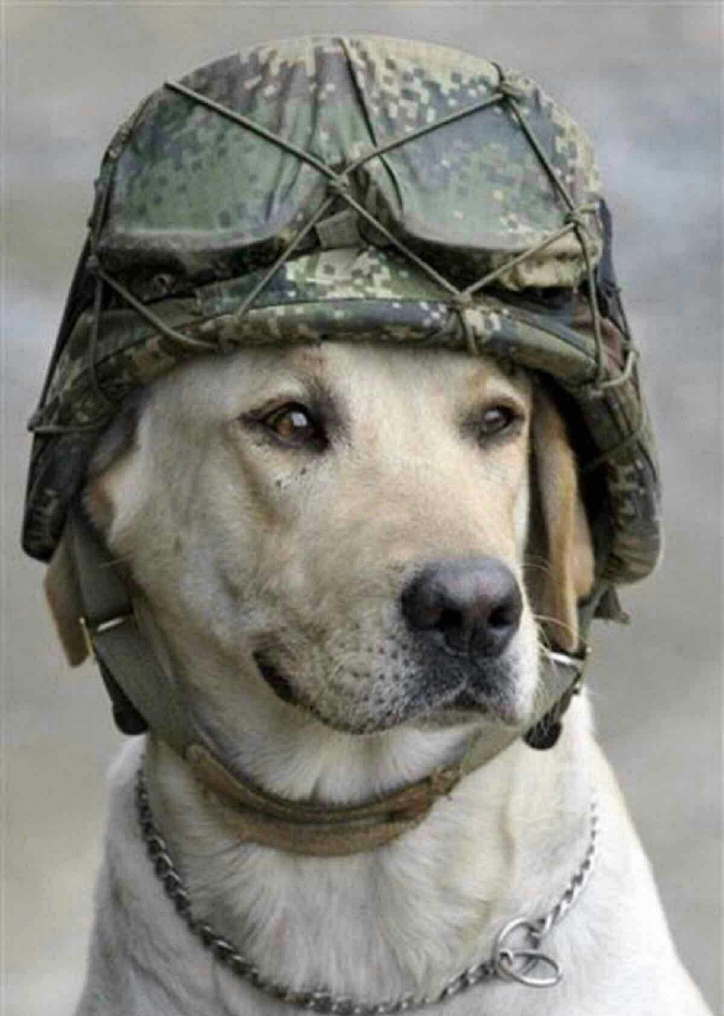 360让大家失望了,高开套人,除了骗就是造假,哈我流氓.