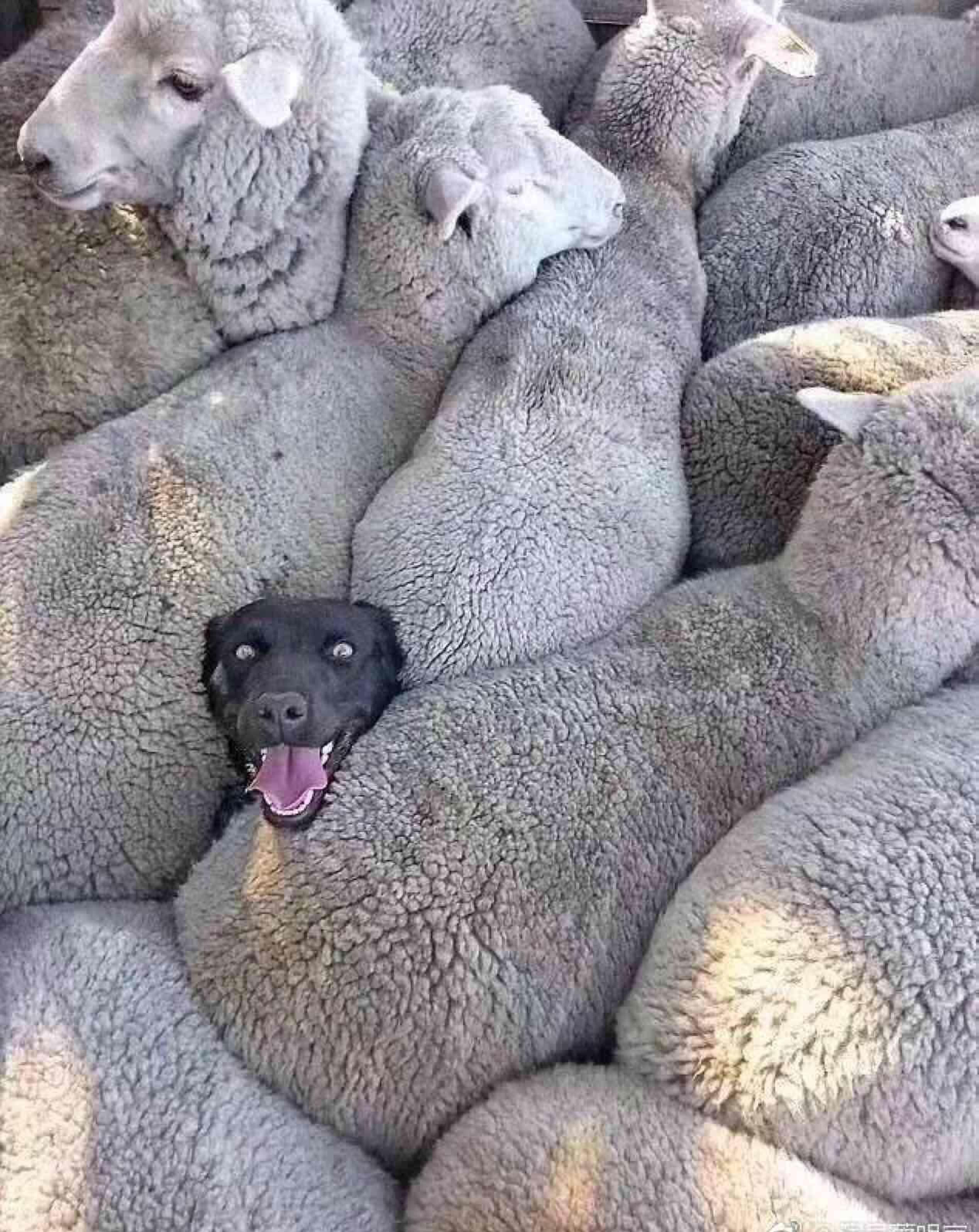 别挤了,看你们把少爷挤的_华录百纳(300291)股吧_东方财富网股吧