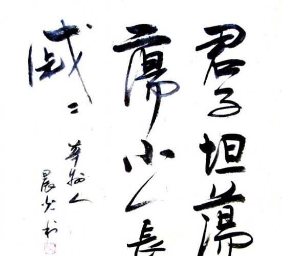 君子坦荡荡小人长戚戚