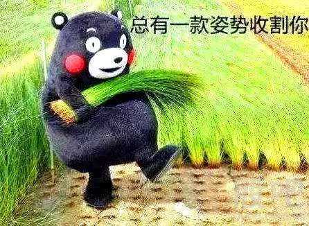 869E0B358DC20979C5CF572F02DA6A59.jpg