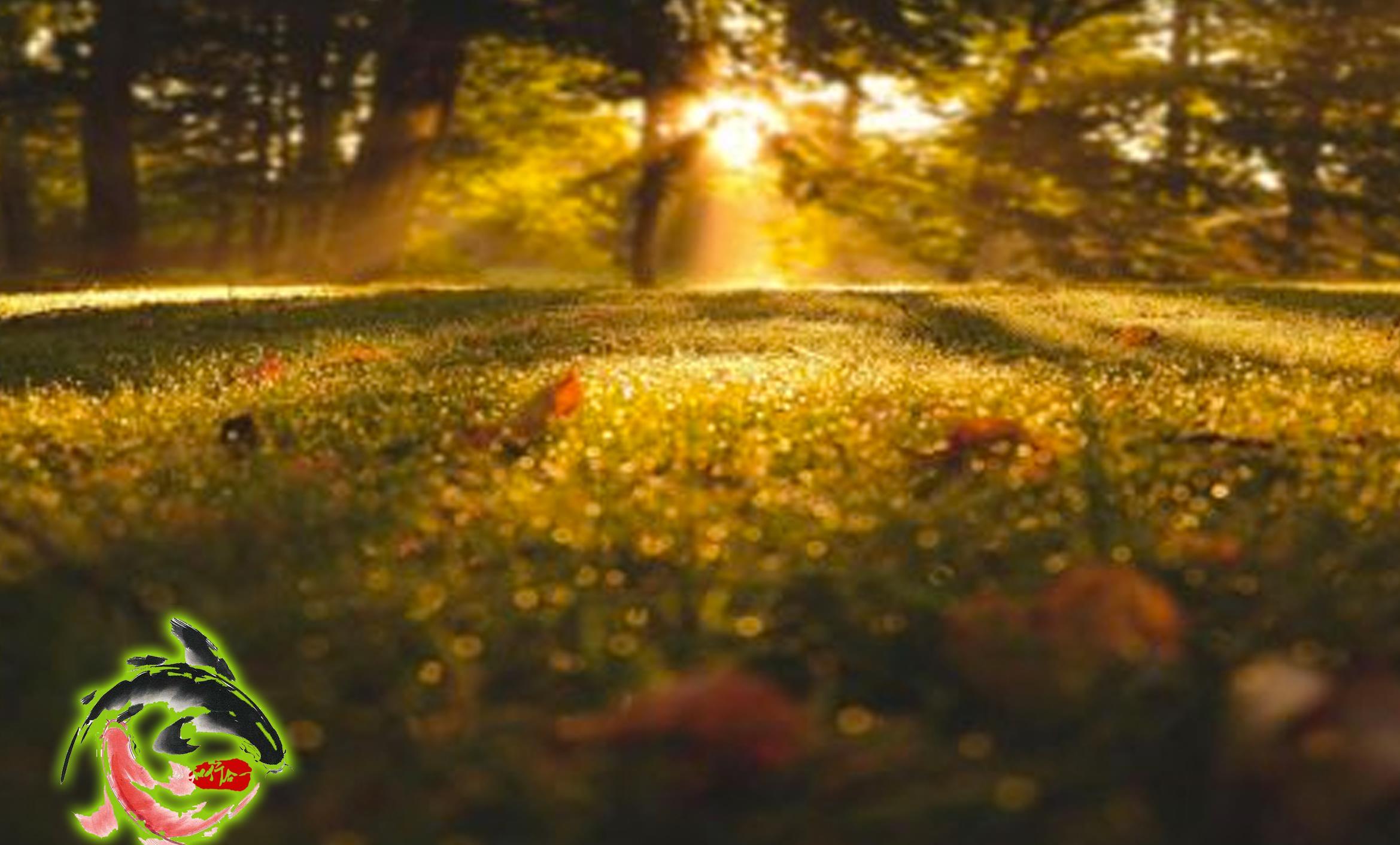 [原创]2018股市投资笔记--5月7日交易日记