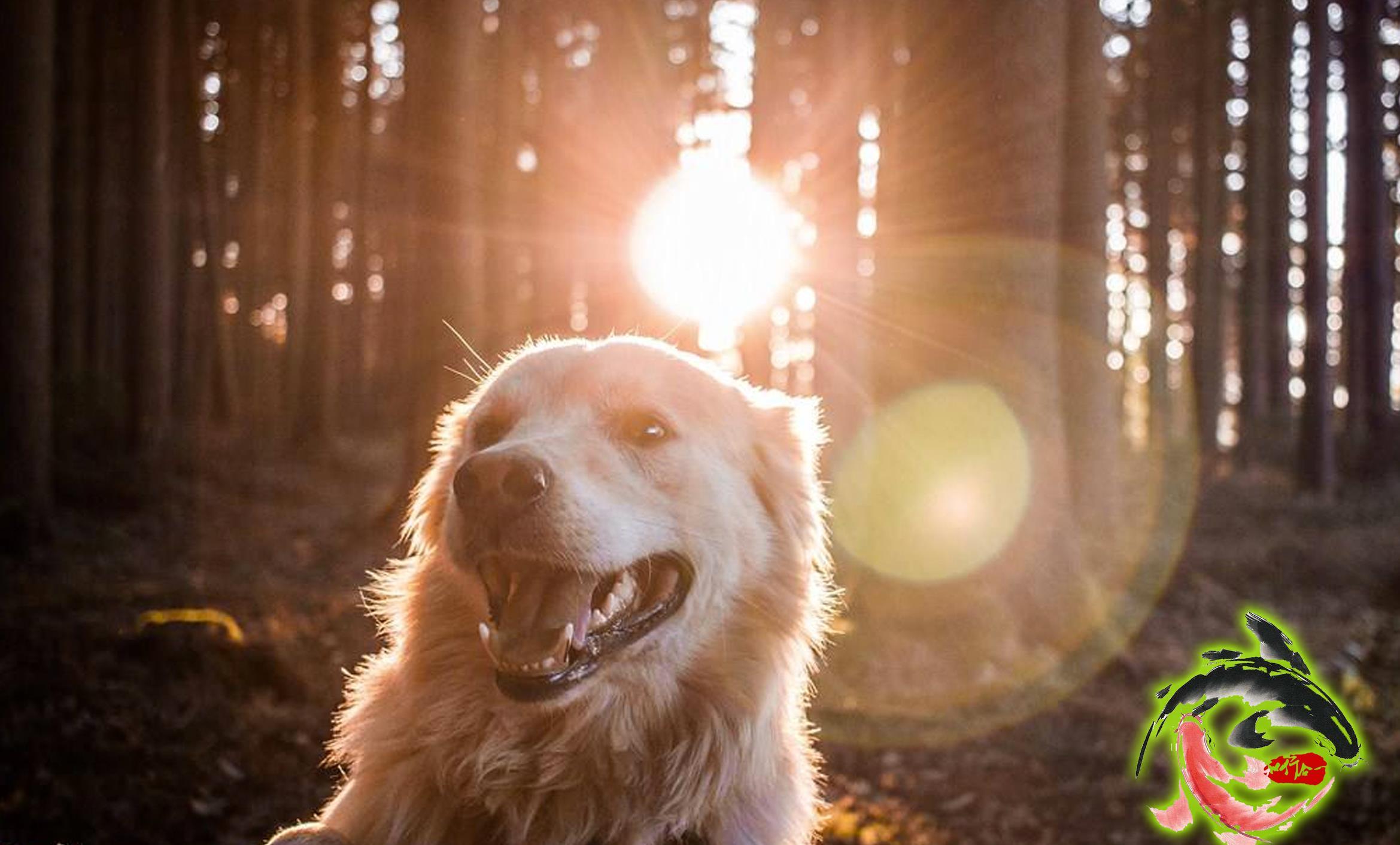 原创]2018股市投资笔记--5月9日交易日记
