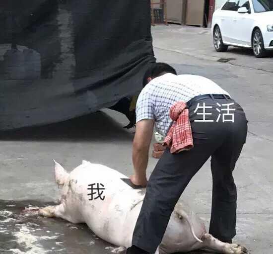 拿刀割肉表情包图片