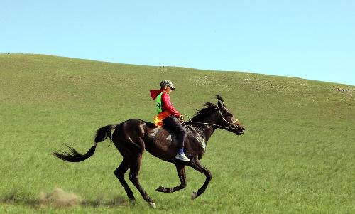 华信4个交易日后就除权除息了!随便你怎么折腾
