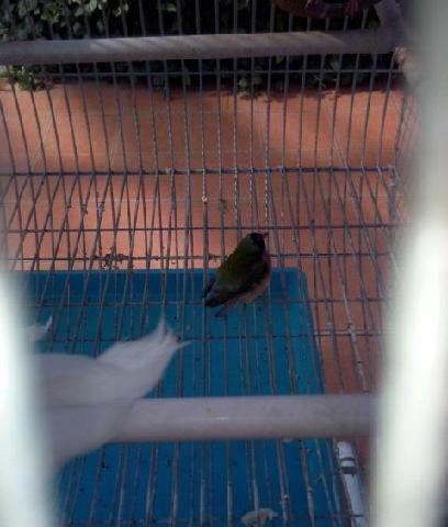 富士康上市和富智康有啥关系?这钱赚的突然!