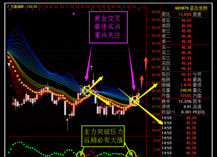 3DAC5B8F06BFA29E7135F92DDAADC8A8.png