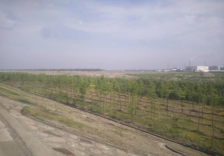 看近期网传的特斯拉将在临港地区建厂的地址