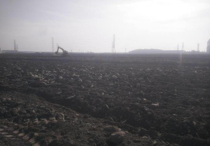 看近期网传的特斯拉将在临港地区建厂的地址