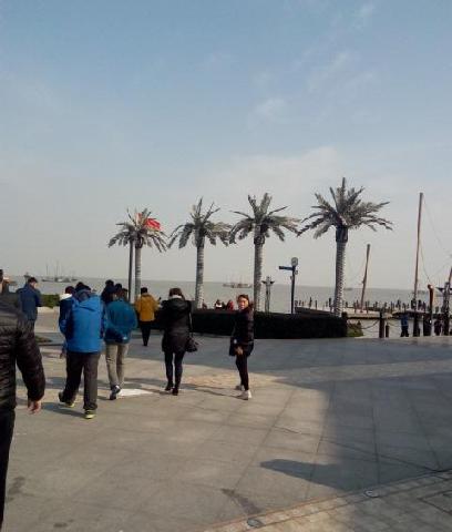 朱孟依把送红利的钱用于回购跟或者买这些股票