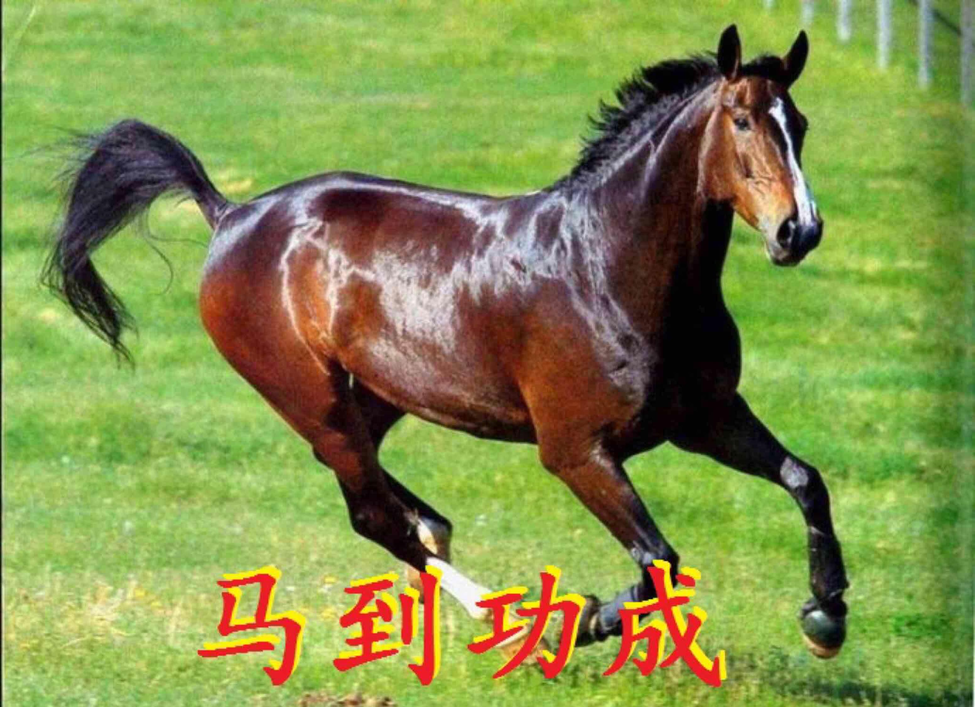 试试发贴:明天复牌,持有5000股牛的朋友就有日进万金的日子过了.