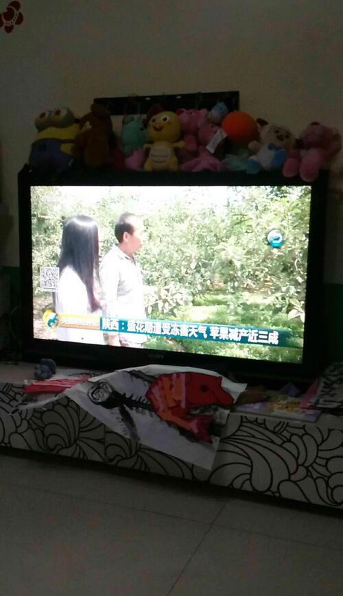 中央电视台二套 21:15分专题讨论苹果期货,大家