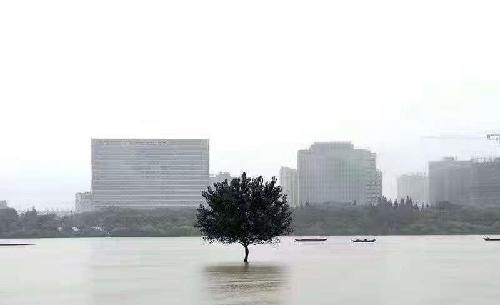 万华化学复牌相关资料 总结一下停盘这半年: 1