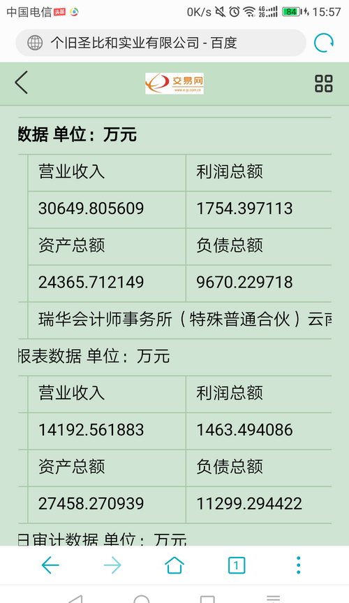 收入证明_2018百度收入(3)