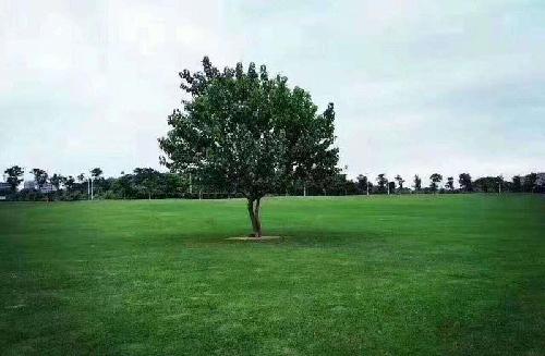 万华化学复牌相关资料 总结一下停盘这半年: 1