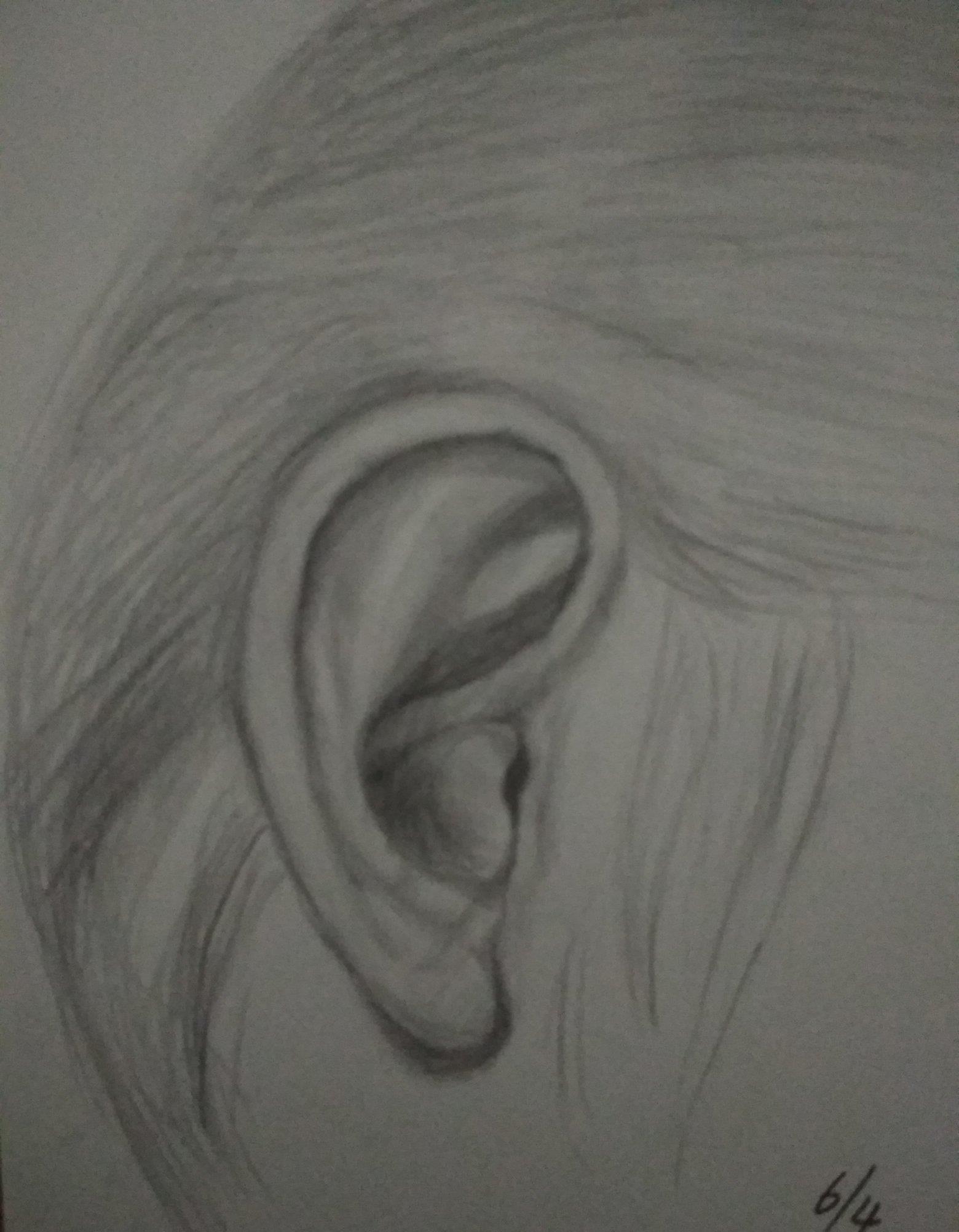 练习耳朵写生素描耳朵侧面