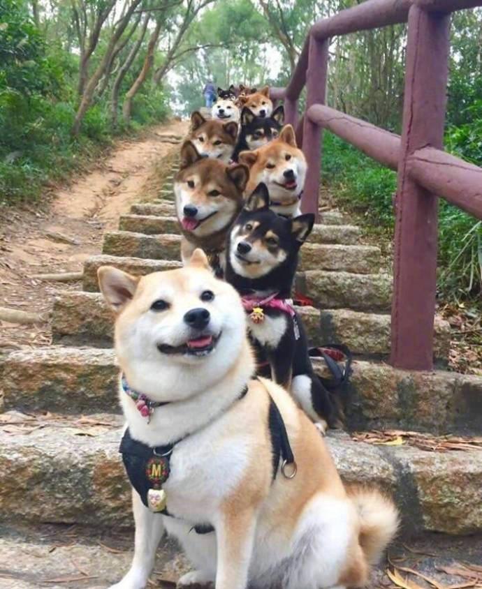 (金囤在线)知识产权概念股逆势走高