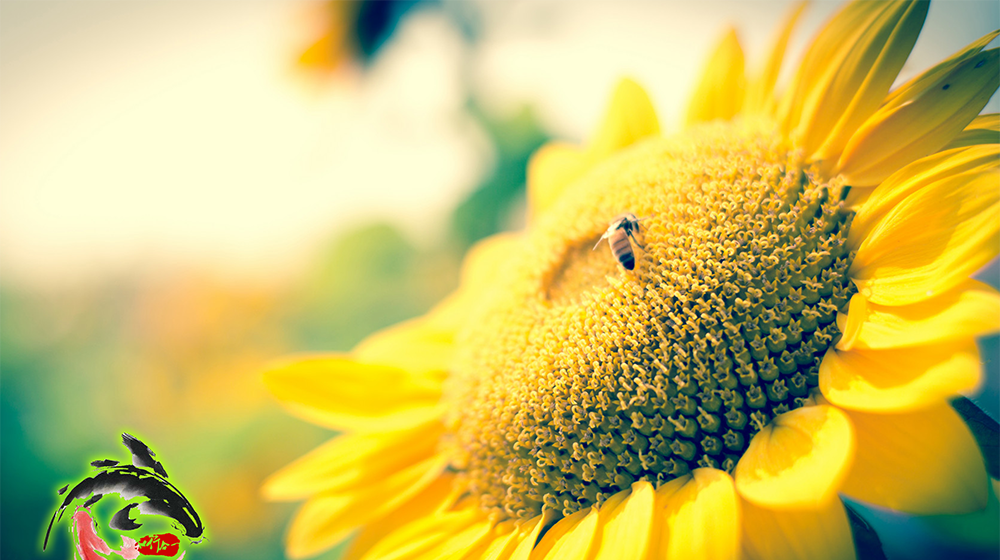 [原创]2018股市投资笔记--6月7日交易日记