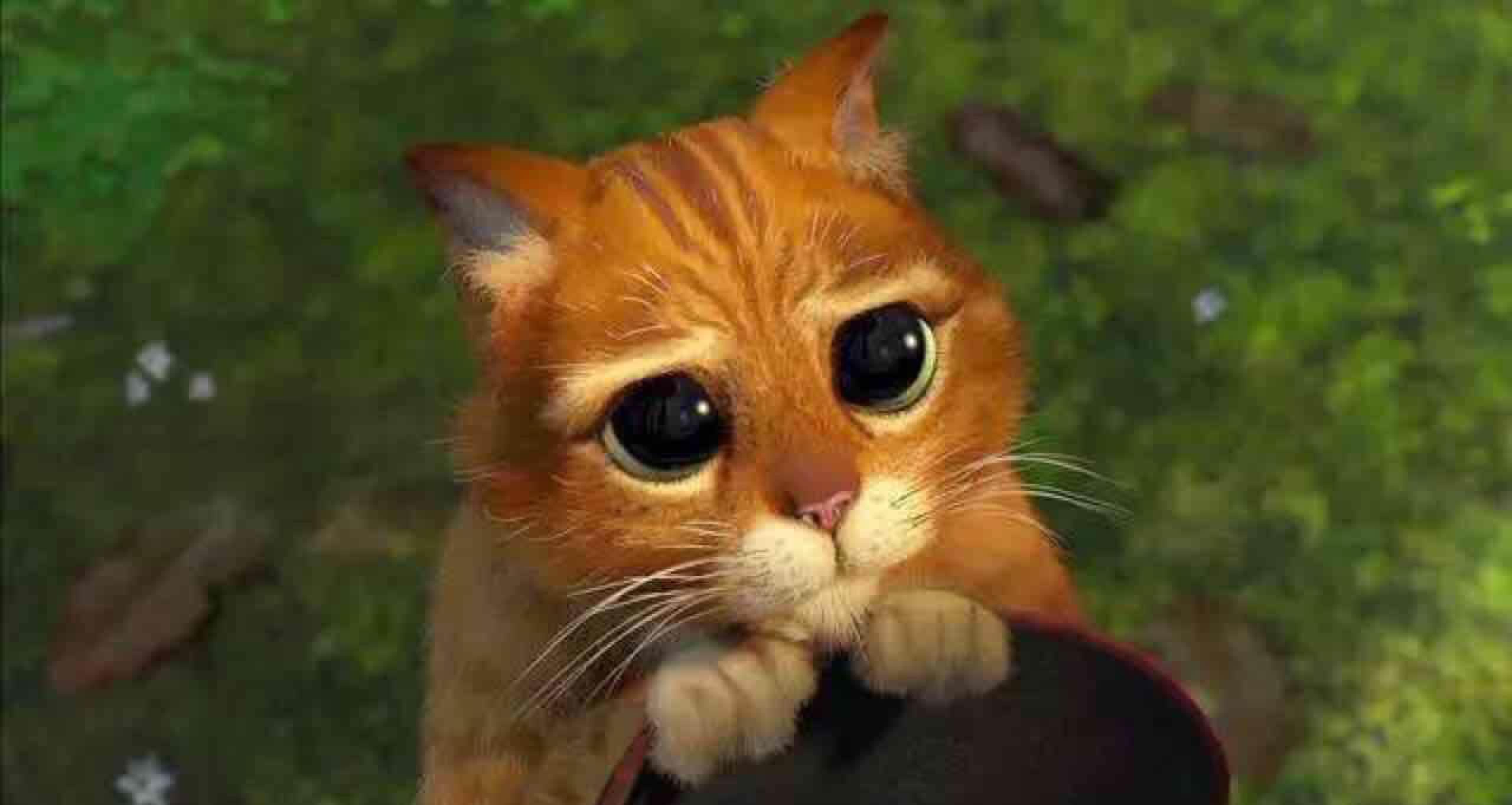 去年亏损13亿 挪用20亿 违规担保22亿 负债103亿 利息多少?那_盛运退(