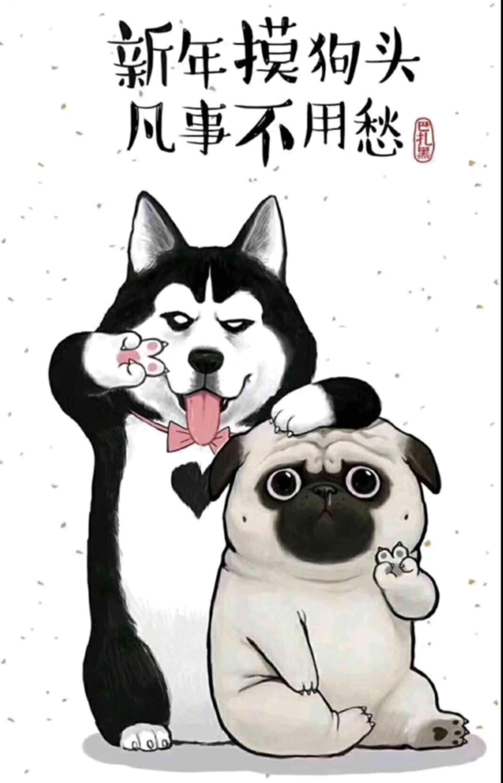 好乖的深井冰跑的快 啃骨头都啃傻了 沉迷于沟沟的世界